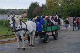 tapszuret19_71_20191012